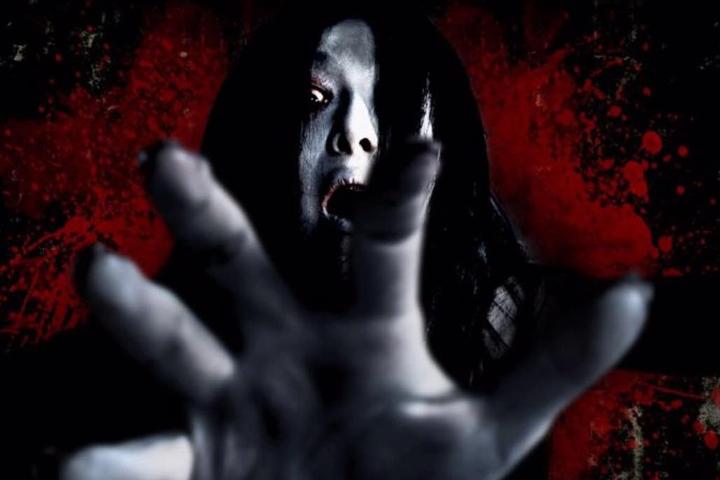 Horror House