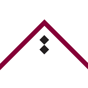 Experience Qatar logo