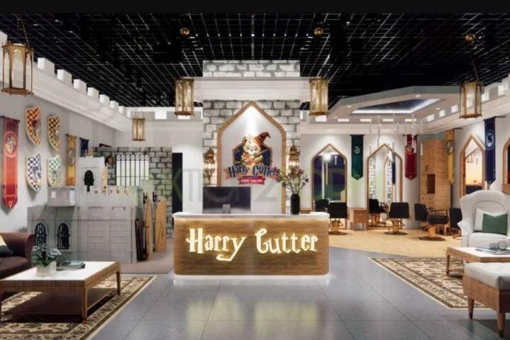 Harry Cutter Kids Salon
