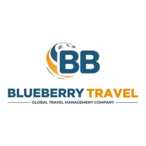 Blueberry Travel logo