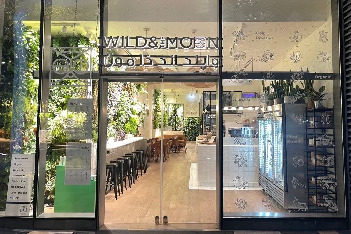 Wild & The Moon photo 1