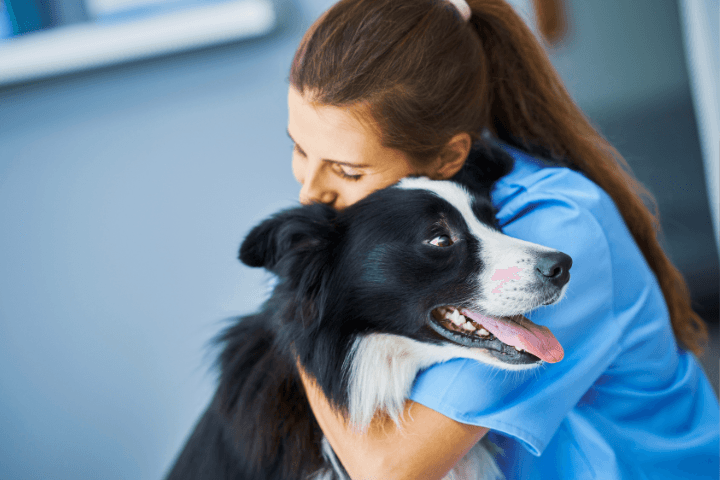 The Veterinary Surgery photo 1