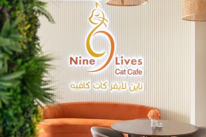 Nine Lives Cat Cafe photo 1
