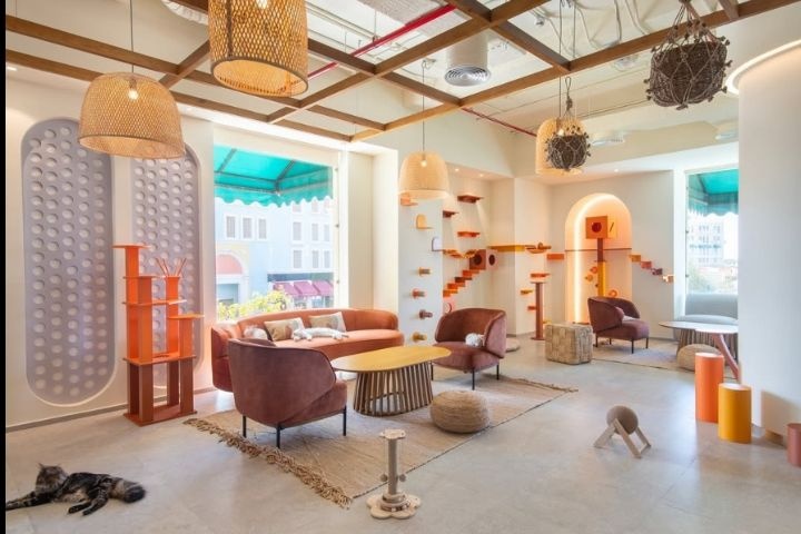 Nine Lives Cat Cafe photo 2