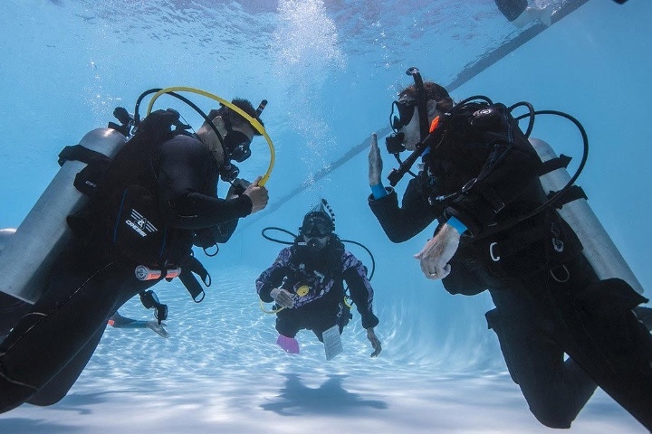 Q Divers photo 4