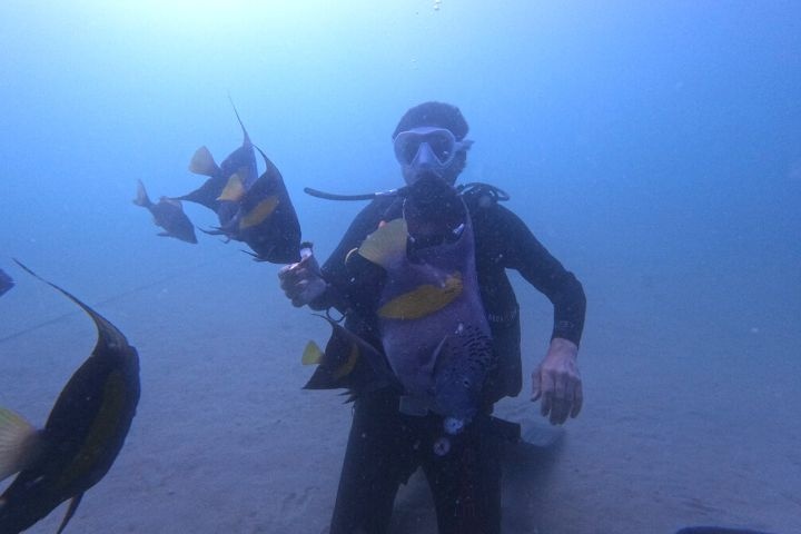 Poseidon Dive Center photo 5