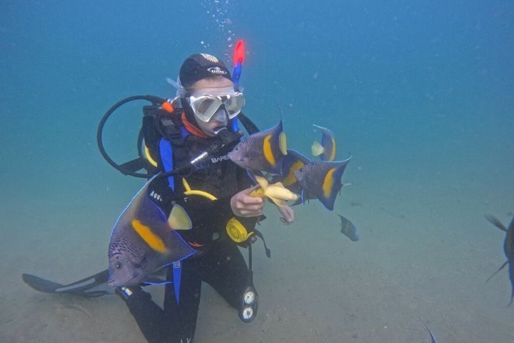 Poseidon Dive Center photo 6