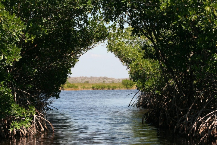 Discover Arabia photo 2