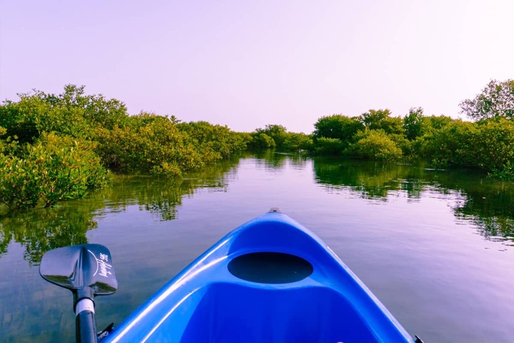 365 Adventures Eco Tours photo 5