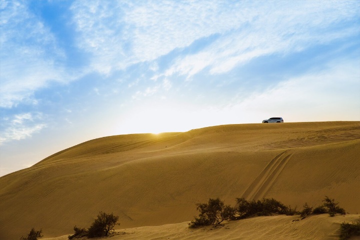 365 Adventures Desert Safari Tours photo 1
