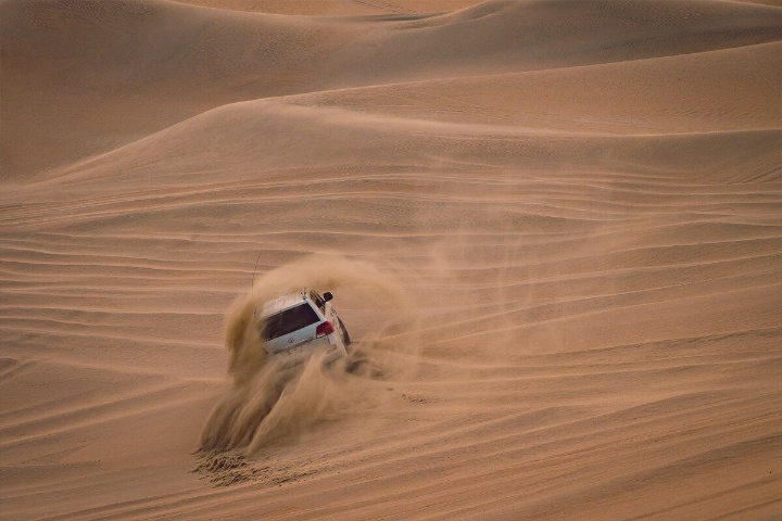 365 Adventures Desert Safari Tours photo 2