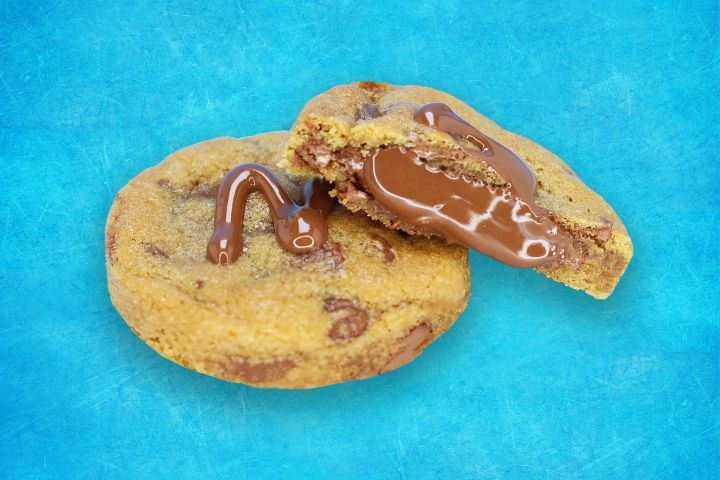 Lion Cookies photo 2