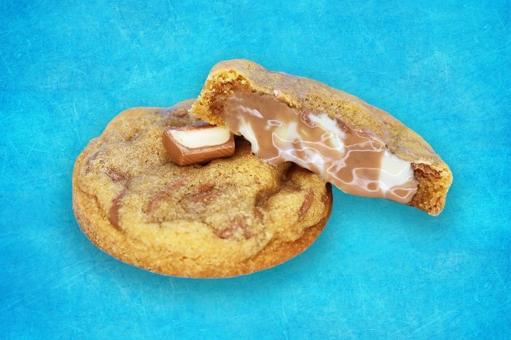 Lion Cookies photo 5
