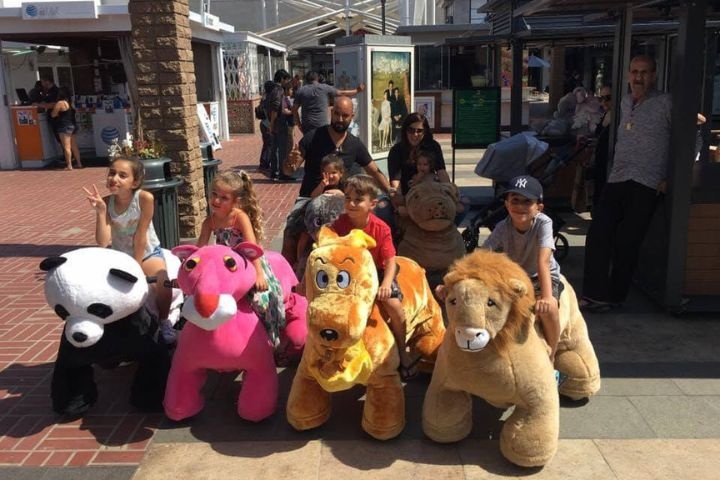 Zoo Rider photo 2