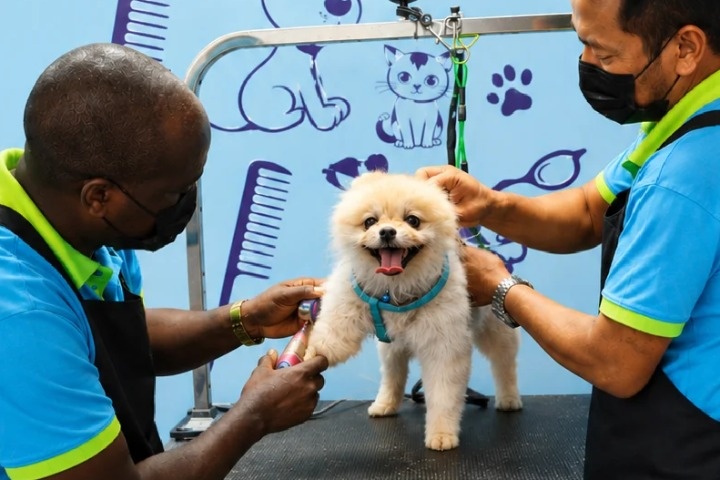 Pawsome Animal Care photo 2