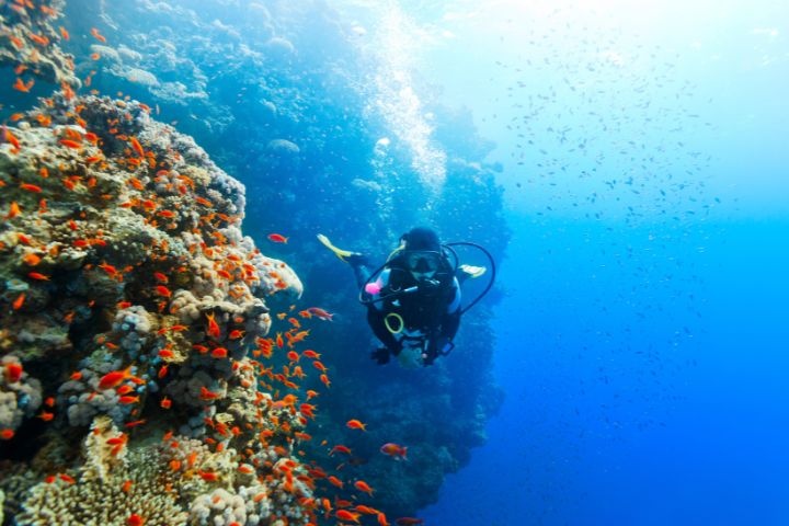 Alghais Diving photo 1