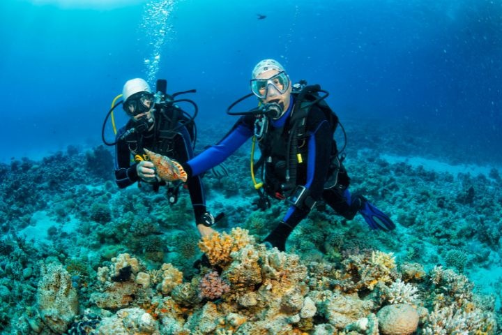 Alghais Diving photo 2