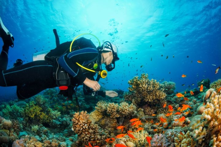 Alghais Diving photo 3