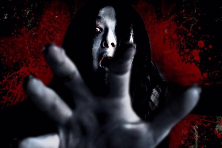 Horror House photo 2
