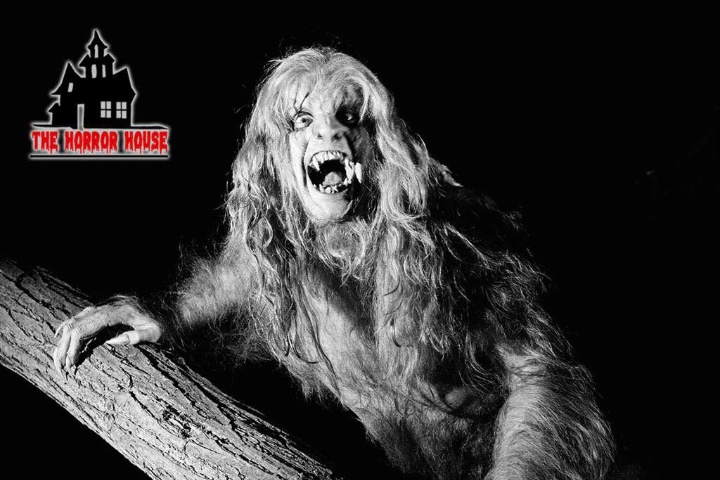 Horror House photo 3