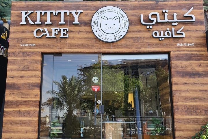 Kitty Cafe photo 1