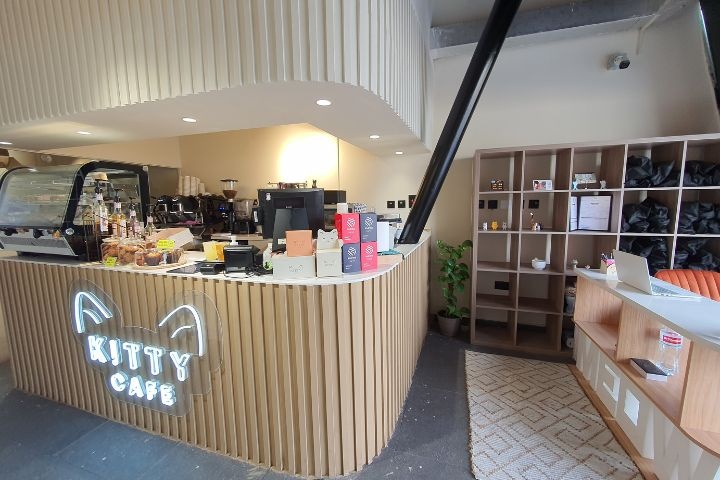 Kitty Cafe photo 2