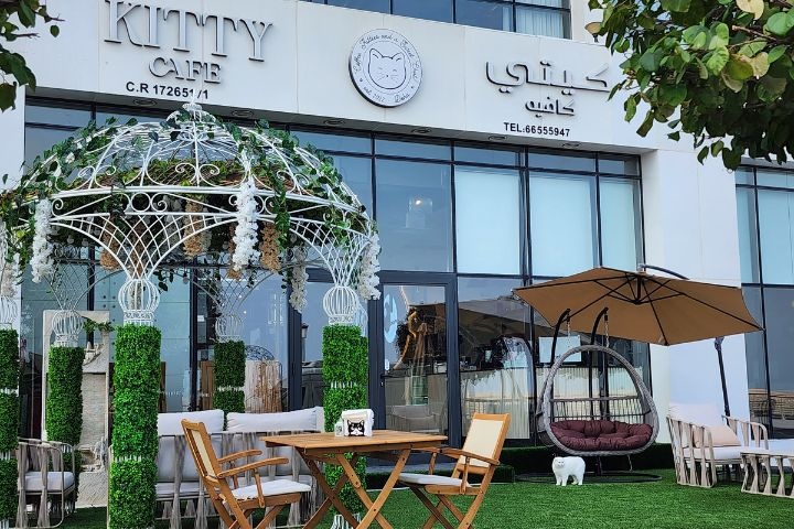 Kitty Cafe photo 3