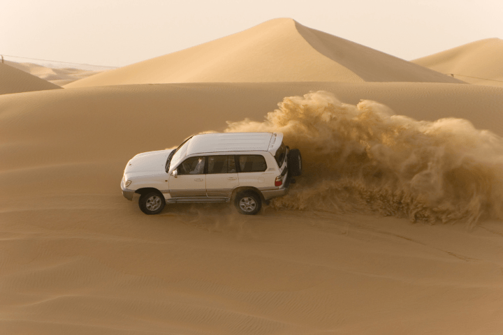 Arabian Desert Tourism photo 3