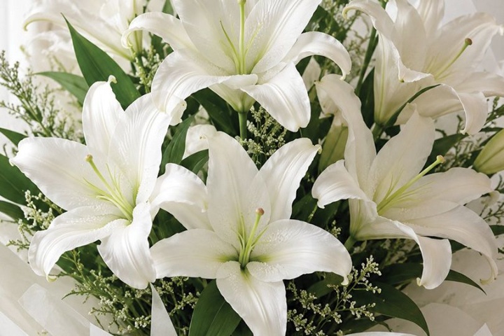 SC Flowers & Gifts photo 3