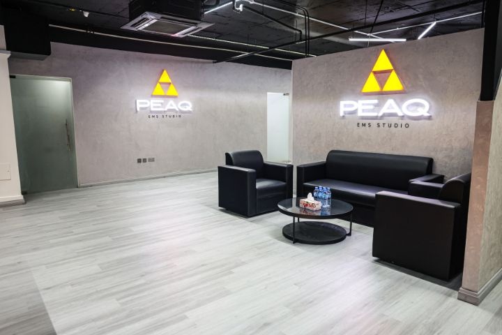 PEAQ EMS Studio photo 5