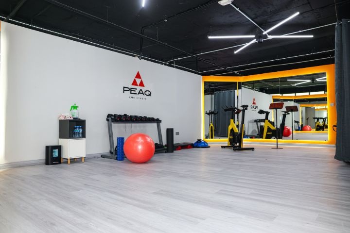 PEAQ EMS Studio photo 1