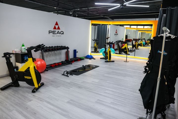 PEAQ EMS Studio photo 4