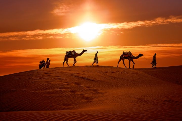 TripSync Tourism Qatar photo 4