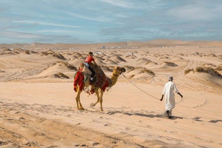 Alfa Adventures Tourism photo 4